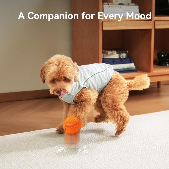 Cheerble Smart Interactive Dog Toy, Wicked Ball AIR Neo, Heartbeat Puppy Toy Automatic Moving, Bouncing, and Rotating, ETPU Material, IPX7 Waterproof Rating, Active Rolling Ball for Medium & Large Dog