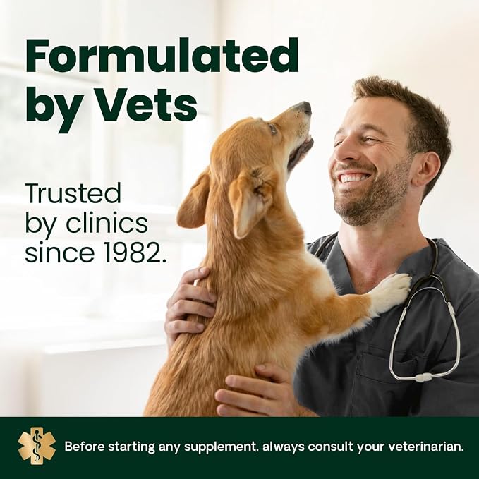 VETRISCIENCE Glyco Flex® 2 Hip and Joint Supplement for Dogs, Chewable Tablets (2 pack)