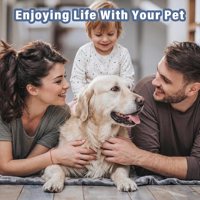 2 Bottles Bitter Apple Spray for Dogs – No Chew Spray for Dogs – Stop Chewing & Licking, Natural Bitter Taste Dog Training Spray, Non-Toxic & Safe for Furniture, Shoes & More
