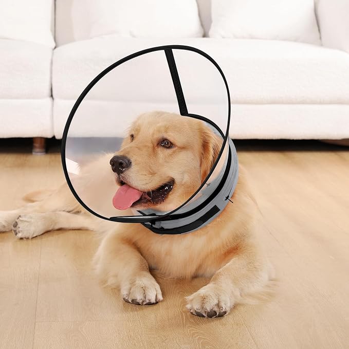 Sponge Core Dog Cone, Inflatable Dog Cone Collar Alternative, Dogs Donut Collar After Surgery, Soft Cone for Large Medium Small Dogs to Stop Licking, No Inflation Required, Clear View(Size 4, Gray)