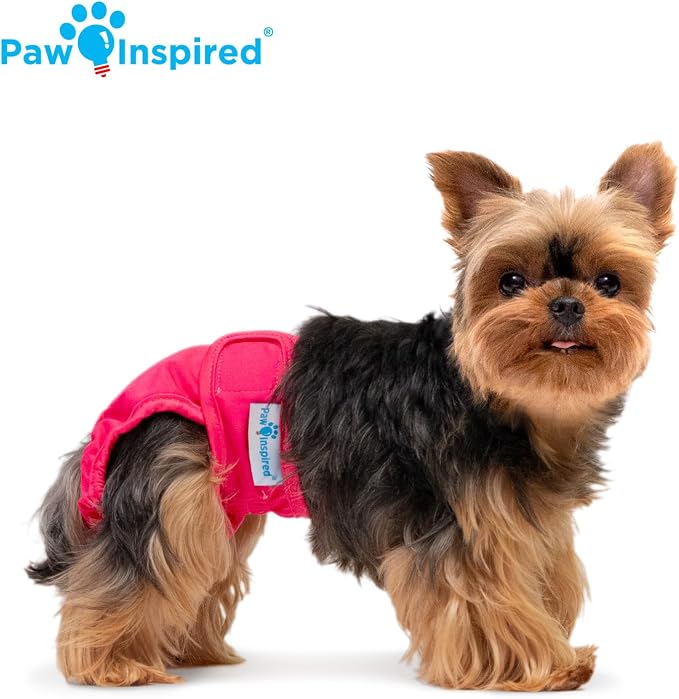 Paw Inspired Washable Reusable Dog Diapers Female, Cloth Dog Diapers, Dogs in Heat, Dog Incontinence (Assorted (White Lining), X-Small (3 Ct.))