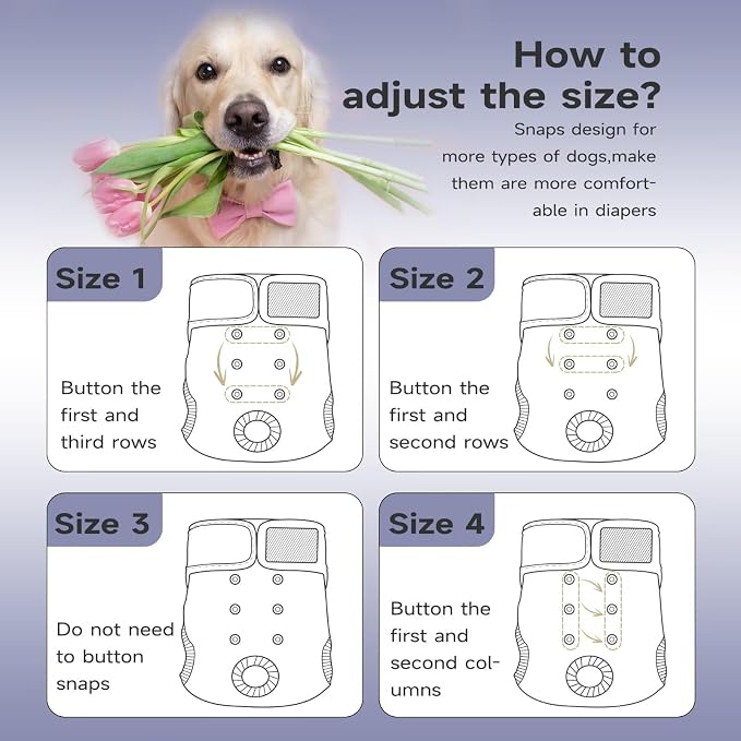 Paw Legend Washable Reusable Female Dog Period Diapers for Heat Doggie Puppy Diapers for Female Dogs (3 Pack,X-Small)