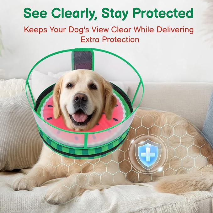 Sponge Dog Cone After Surgery, No Inflation Required Dog Donut Collar to Stop Licking, Inflatable Cone Alternatives for Medium Pets, Soft Recovery Collar with Protective Shield (Watermelon, S)