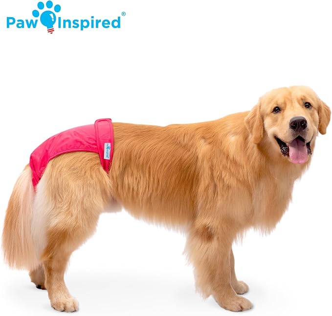Paw Inspired Washable Dog Diapers (2 Pack) | Reusable Cloth Doggy Diapers for Female Small, Medium, Large Size Dogs (Pink and Blue Colors with Black Lining, Size XL)