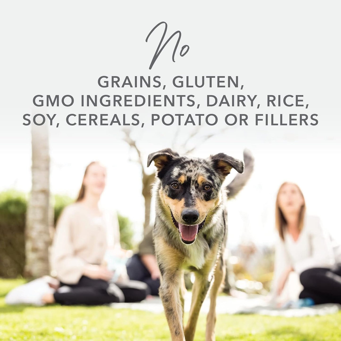 K9 Natural Grain-Free Freeze-Dried Dog Food Chicken 1.1lb