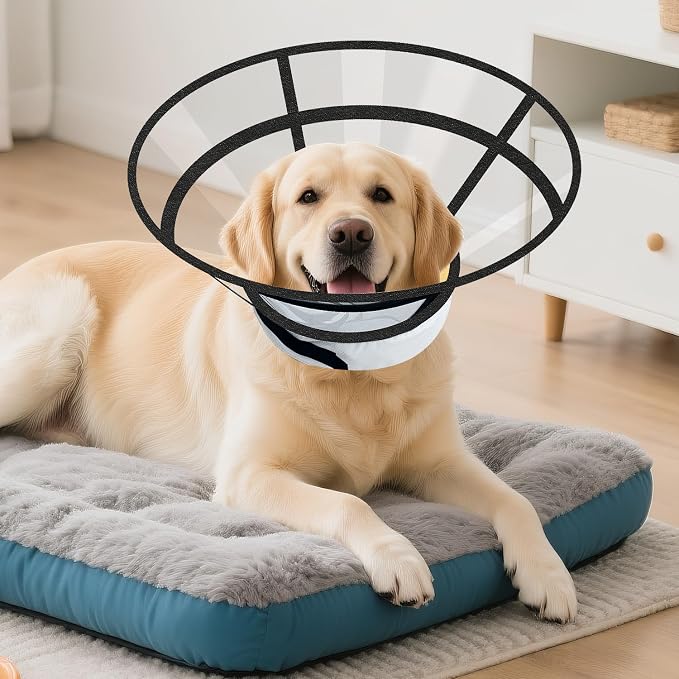 Sponge Core Dog Cat Cone Collar for After Surgery Recovery, Inflatable Dog Cone Alternative, Lainergie Dogs Donut Collar Adjustable with 2PCS Cover for Large Medium Small Dogs Cats (Grey+Yellow, XXL)