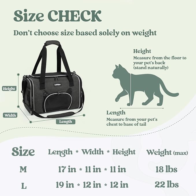 rabbitgoo Cat Carrier Soft Sided, Stable Portable Pet Carrier with Safety Buckles for Car Travel Vet Visit Airline, Comfortable Breathable Kitten Bag for Small Medium Cat, Black, 17x11x11 inch