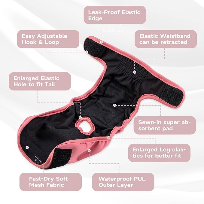 Paw Legend Washable Reusable Female Dog Period Diapers for Heat Doggie Puppy Diapers for Female Dogs (3 Pack,Medium)