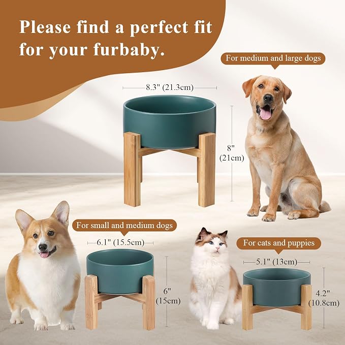 Raised Ceramic Cat Bowl - Cat Food Bowl with Bamboo Stand - Elevated Dog Food Dish for Puppies - Comfort Eating - 13.5 oz - 400 ml - Green