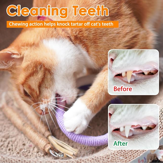 Tocirelo Cat Chew Rope Toy & Interactive Cat Toy