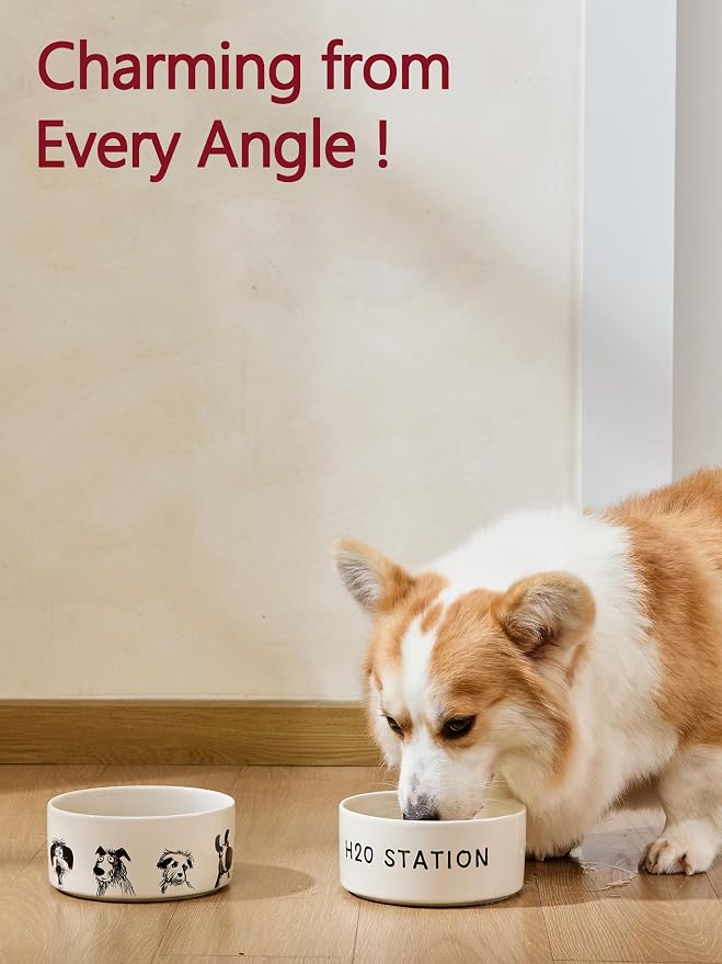 Ceramic Cute Dog Bowl Set of 2 for Small Dogs & Cats, Heavy Non-Slip Stoneware Food and Water Bowls – 1.6 Cups, Microwave & Dishwasher Safe, Pet Feeding Set