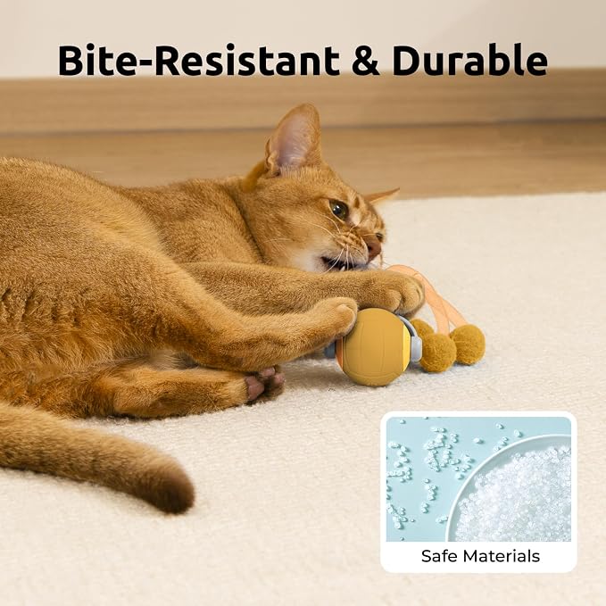 Cat Toys for Indoor Cats, Interactive Cat Toy Ball with Pom-Pom Tails, Automatic Cat Toy Self Play Exercise Toy to Relieve Boredom for Kitten & Adult Cats (Orange)