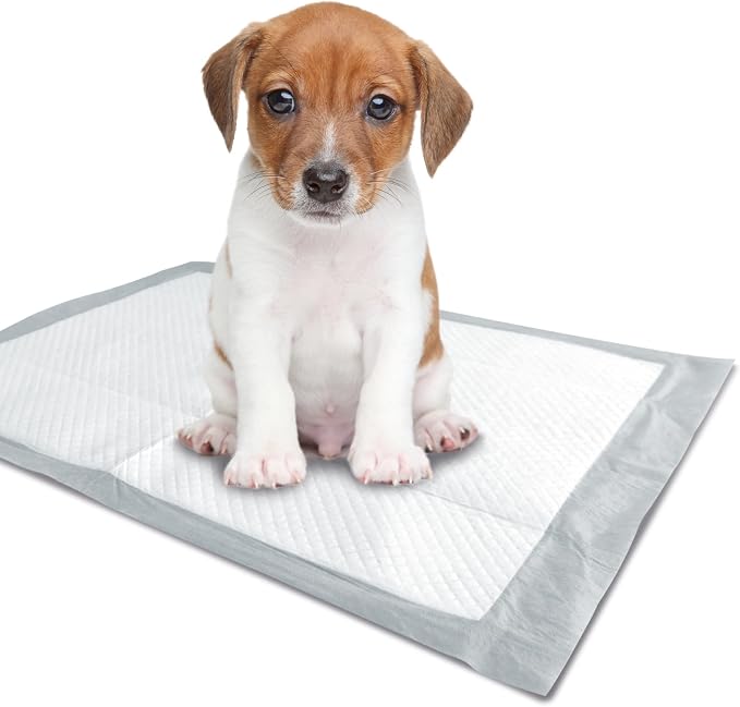 M-PETS Puppy Training Pads for Dogs – Leakproof Fast-Drying Puppy Pee Pads with Odor Control & Clean Paws Technology (100, 60 x 60 cm)