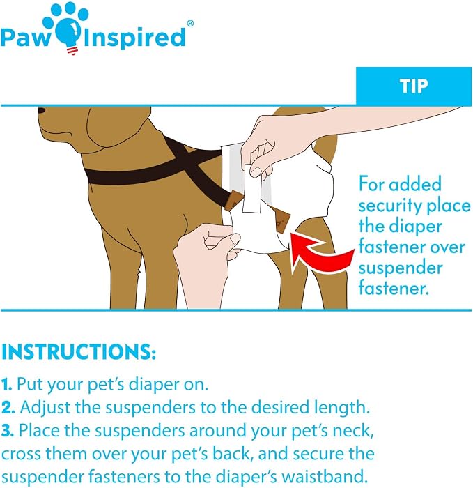 Paw Inspired Reusable Washable Dog Diapers (Pack of 3) in Assorted Colors with White Lining and Dog Diaper Suspenders in Black Combo Pack (Small)