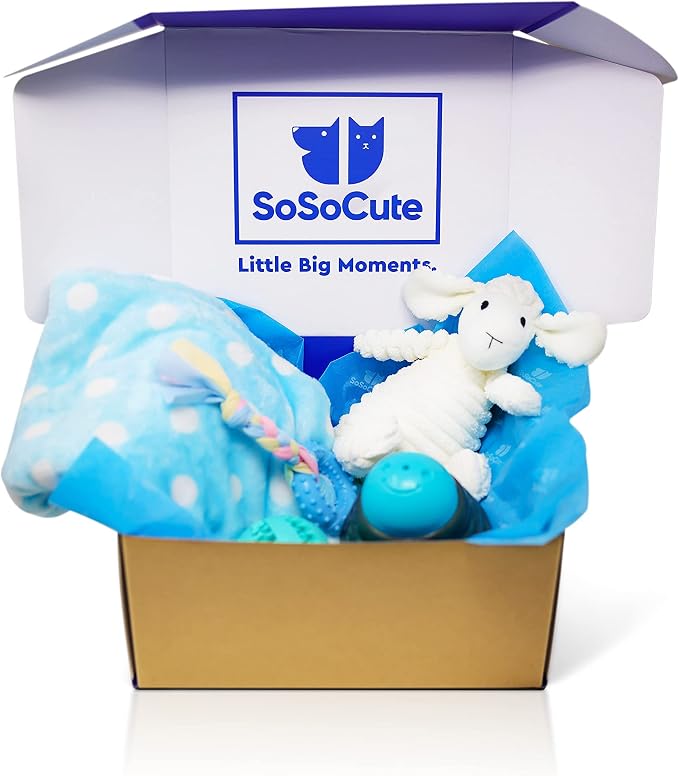 Puppy Starter Kit β 5pc Dog Toy Gift Set for Small Dogs β New Puppy Essentials Gift Box with Blanket, Squeaky Plush, Teething Ring, Treat Ball & Chew Ball (Blue)