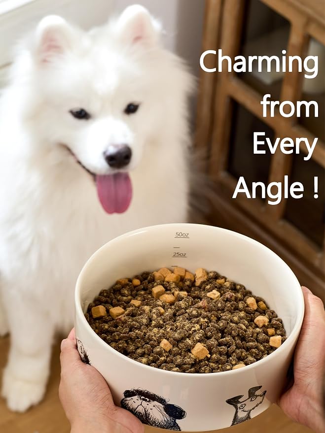 Ceramic Cute Dog Bowl for Medium Large Dogs, Heavy Non-Slip Stoneware Pet Feeding Bowl – 6.5 Cups, Microwave & Dishwasher Safe, Single Bowl