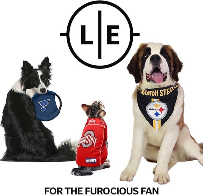 Littlearth NFL Detroit Lions MVP Pet Bowl- Size Small