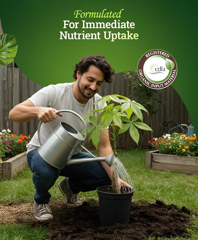 FoxFarm Bush Doctor Kelp Me Kelp You Seaweed Plant Food - 0.5-0-0.5 Liquid Kelp Fertilizer for Gardens, Hydroponic & Drip Irrigation Systems - Nutrient Uptake & Plant Growth - 1 Quart