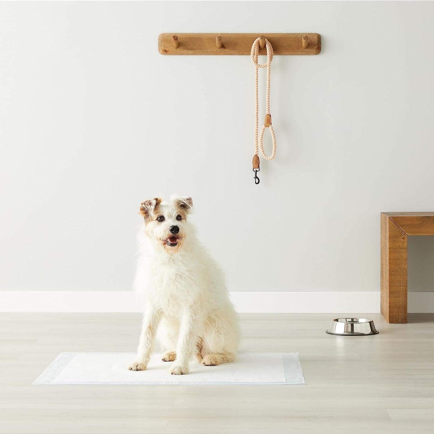 Amazon Basics X-Large Absorbent Puppy Pads, Leak-Proof, Quick-Dry, 28 x 34 Inches, Pack of 50, Blue & White