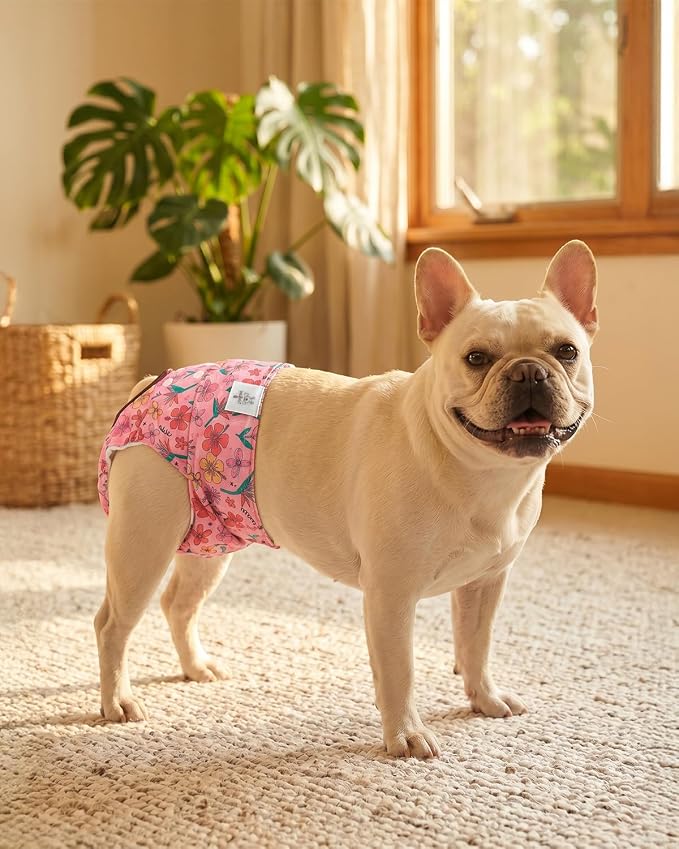 CuteBone Washable Female Dog Diapers 4 Pack Reusable Doggie Heat Diapers for Period FMG08S