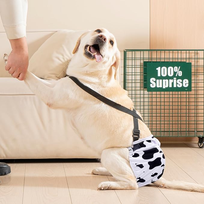 3 Pack Avont Washable Female Dog Diaper with Suspender, Reusable Girl Doggie Diapers for Small Medium Large Doggy in Heat Cycle Period Incontinence
