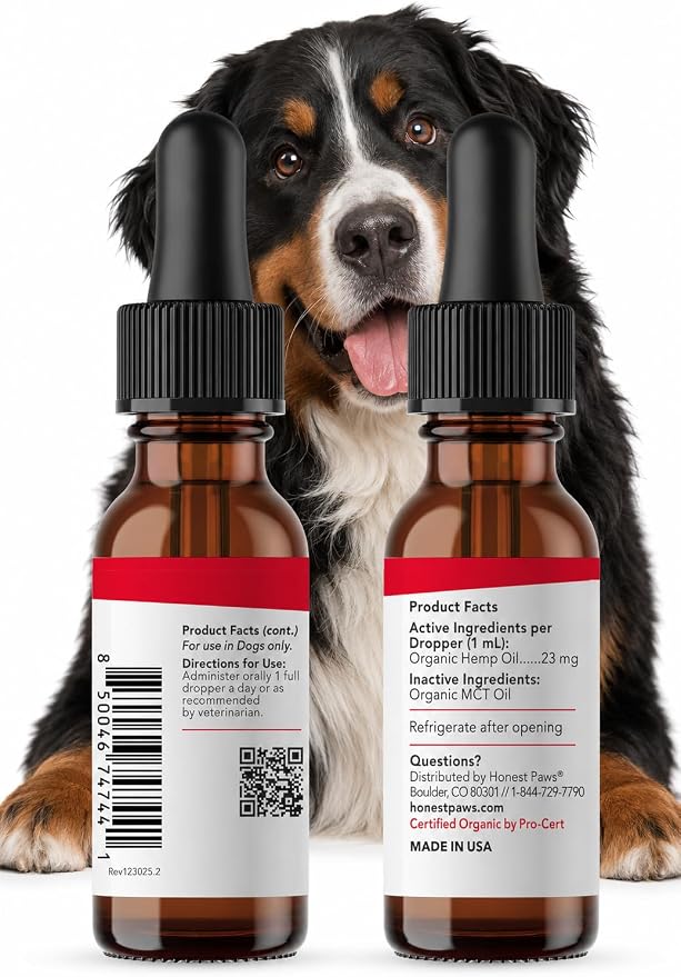 Honest Paws Hemp Oil for Dogs - Natural Hemp Seed Oil Drops Rich in Omega 3 6 9 - May Help Support Calm Behavior, Physical Comfort & Overall Wellness - Made in USA