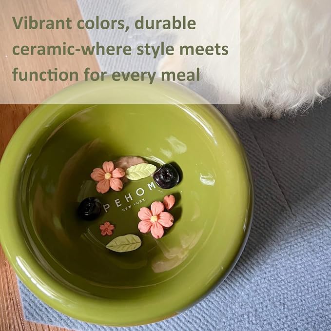 Elevated Cat Water Bowls Raised Small Ceramic Dog Bowl,Non-Slip Tilted Cat Food Bowl Whisker Friendly-Green
