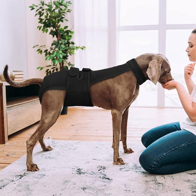 Dog Diapers Female Reusable Washable Period Diaper with Suspender,Adjustable Dog Panties Anti-Harassment, Doggie Diapers for Incontinence, Heat Cycles, or Senior Dogs(XS-XL