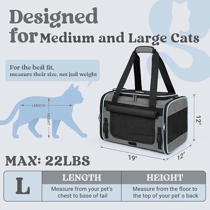 rabbitgoo Cat Carrier Soft, Pet Bag with Rollable Flap for Anxious Kittens, Travel Safe for Car Airline, Collapsible Portable Carrying for Medium to Large Cats, Grey, 19" L x 12" W x 12" H