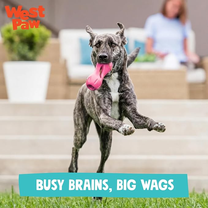 WEST PAW Qwizl Durable Zogoflex Dog Puzzle Toy for Mental Stimulation, and Enrichment - Treat Dispensing for Bully Sticks and Dental Sticks - Dishwasher Safe - Made in USA - Large - Teal