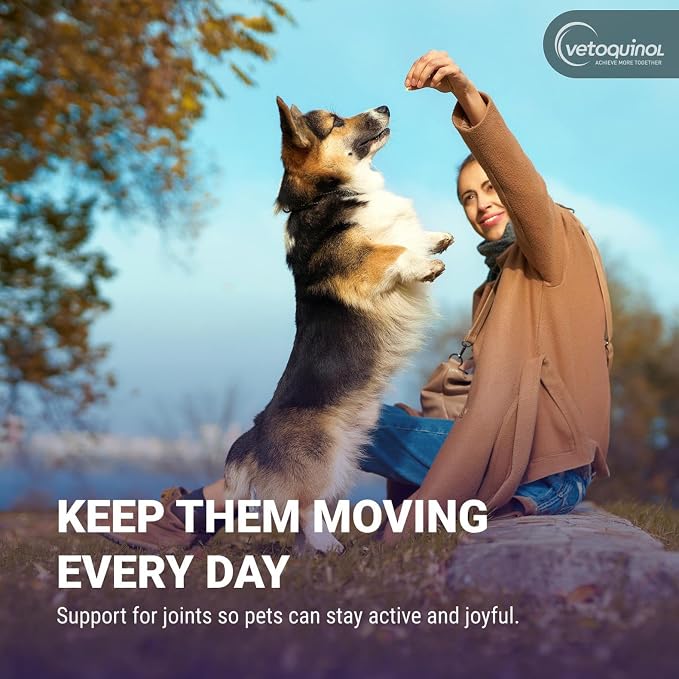 Vetoquinol Flexadin Plus - Hip & Joint Support for Cats & Small Dogs - Flexibility & Cartilage Support - Aids with Pet Mobility - Green-Lipped Mussel & Vitamin E - for Pets Up to 30 lbs - 90 Chews