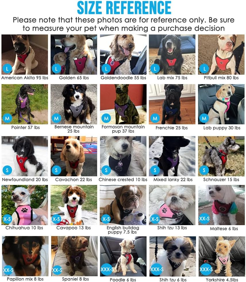 Lukovee Dog Seat Belt for Car, Adjustable Dog Car Harness for Large Medium Small Dogs, Soft Padded & Breathable Mesh Dog Seatbelt with Car Vehicle Connector Strap (Rose Red,Small)