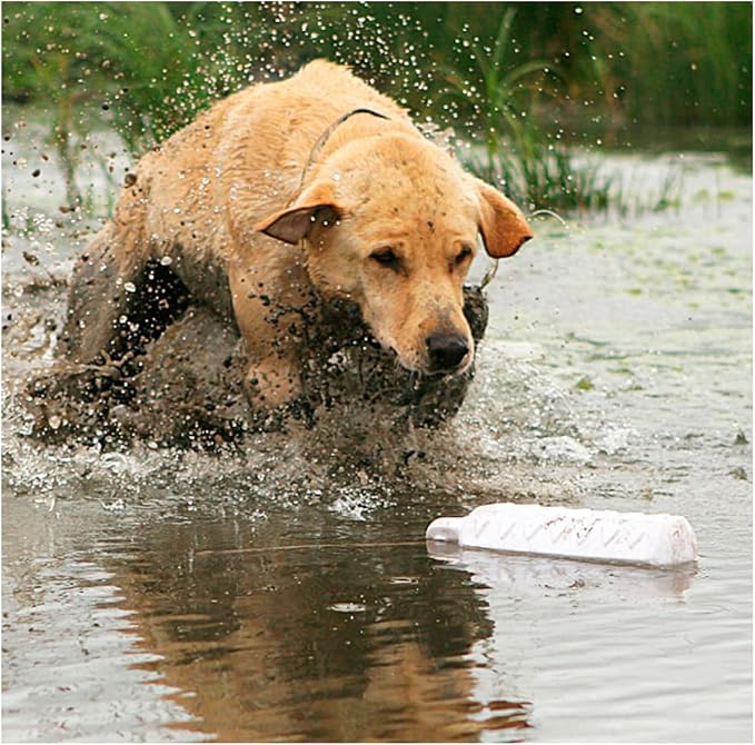 Avery ASD 2" HexaBumper Hunting Sporting Gun Dog Game Retriever Dummy | Water & Upland Mark Training Retrieval Tool | Hexagonal, Floating Design, Easy-Grip Texture, Throw Rope, White (02701)