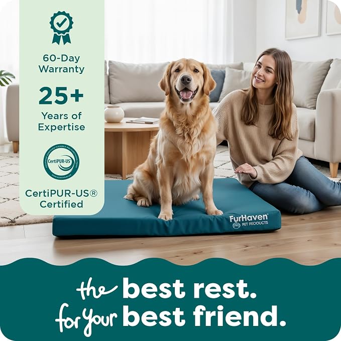 FurHaven Water-Resistant Orthopedic Dog Bed for Large Dogs, Oxford Polycanvas Mattress with Orthopedic Solid Slab Foam for Joint Support, Removable Washable Cover, Jumbo XL, Stone Gray