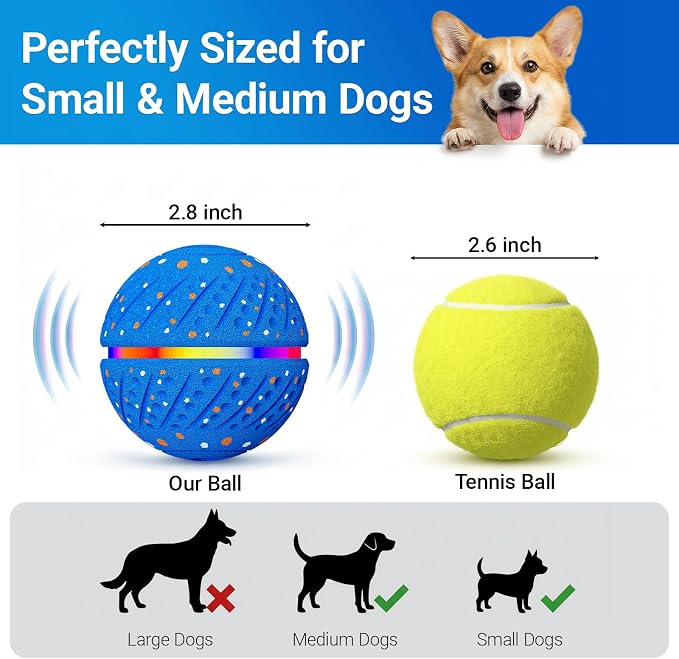 Interactive Dog Ball Toy for Small Medium Dogs – Automatic Rolling, Bouncing & Moving Dog Toy with LED Lights, 2-in-1 Fetch Toy, Durable E-TPU, USB Rechargeable (2.8” Blue)