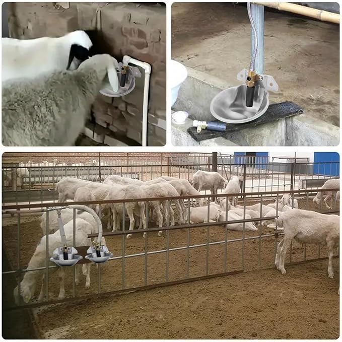 Stainless Steel Sheep Automatic Water Drinking Bowl Drinking Troughs,Livestock Water Bowl with Copper Valve,Automatic Waterer for Goat Calves Cattle Pig Dog Piglets
