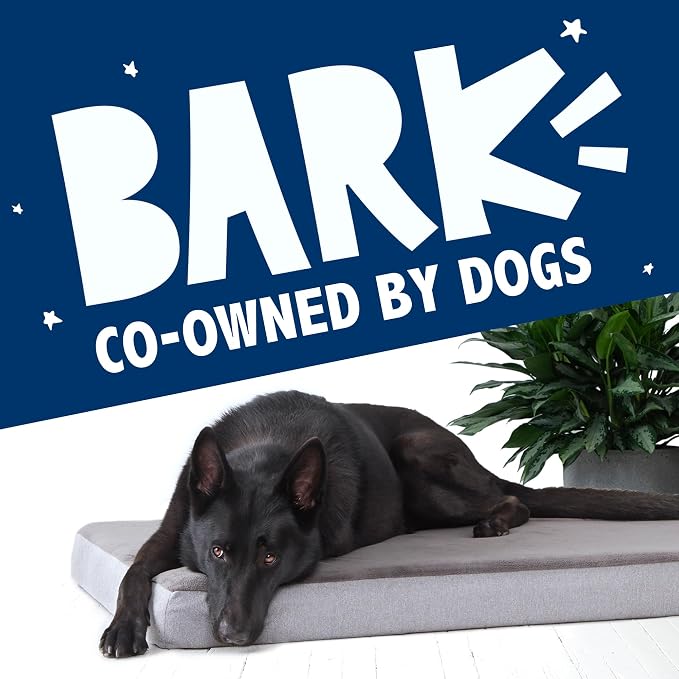 Barkbox Orthopedic Dog Bed with Memory Foam, Premium Comfort for Dogs and Puppies, Dog Bed for Joint Relief and Restful Sleep, Durable and Easy to Clean - Grey, XL
