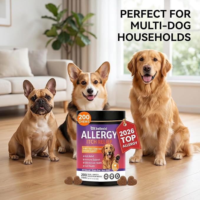 Dog Allergy Chews 200ct - Seasonal Allergy & Itching Skin Relief for Dogs - Soft Chews with Colostrum, Probiotics & Omega 3 for Licking Paws, Hot Spots & Immune Support - Chicken Flavor (14.1 OZ)