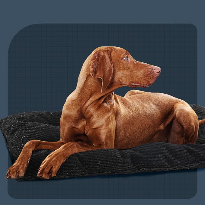 MABOZOO Chew Proof Indestructible Dog Beds for Aggressive Chewers,Durable Dog Crate Pad,Washable Tough Pet Mats for Kennel,Black,M 18x29 in