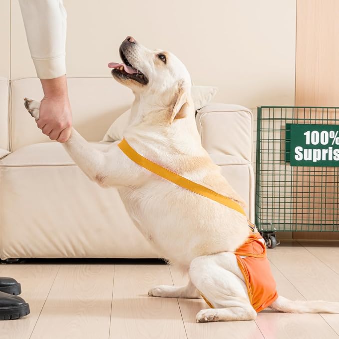 3 Pack Avont Washable Female Dog Diaper with Suspender, Reusable Girl Doggie Diapers for Small Medium Large Doggy in Heat Cycle Period Incontinence -S Blue/Orange/Grey