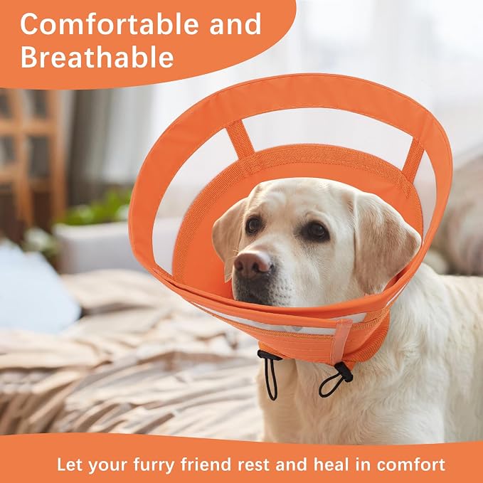 ASENKU Dog Cone Collar, Soft Adjustable Cone for Dogs to Stop Licking, Lightweight Recovery Dog Cone After Surgery, Pet E-Collar for Small, Medium & Large Dogs(Orange, M)