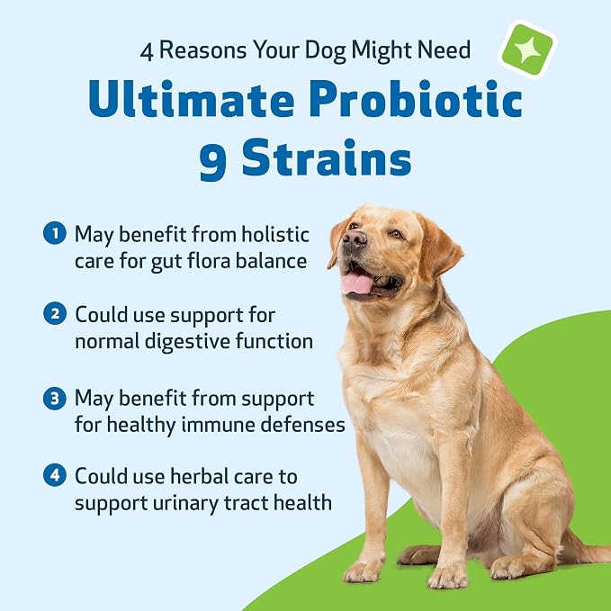 Pet Wellbeing - Ultimate Probiotic 9 Strains for Cats and Dogs - Natural Support for Digestion and Urinary Tract Health 160 Grams.