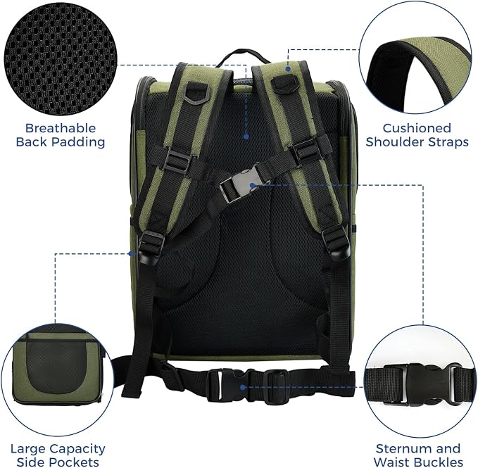 Apollo Walker Dog & Cat Carrier Backpack for 4-18lb Pets - Ventilated Safe Design with Padded Back Support, Breathable Mesh Pet Backpack for Hiking, Travel, Outdoor (Green)