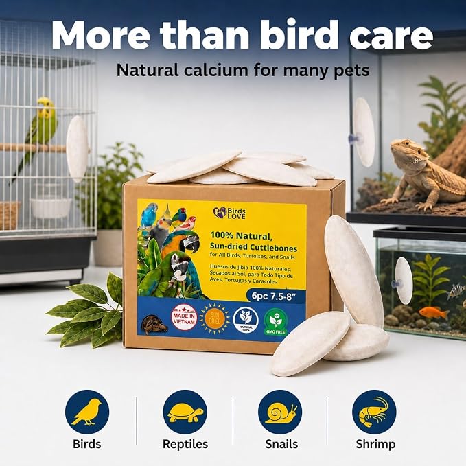 Birds LOVE 7.5-8" Cuttlebone for Birds β 100% Natural Sun-Dried Calcium Carbonate Mineral Supplement β for Parakeets, Budgies, Cockatiels, Finches & Canaries β 6 Pack with Holder β Made in Vietnam