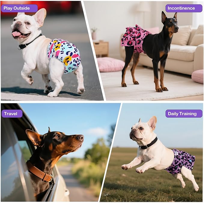 Female Dog Diapers Reusable No Tail Hole Period Panties Washable Diapers Female for Docked-Tail Frenchie French Bulldog Boston Terrier Without Tail (2 Pack Regular+2 Pack Skirts) U-WWDQB03M