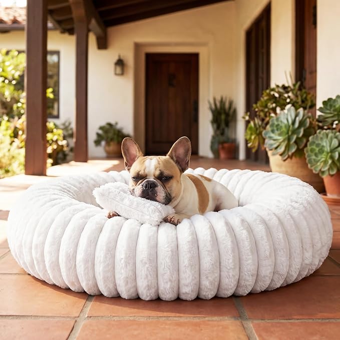 Donut Pet Bed for Indoor Cats and Small Dogs, Self-Heating Dog Bed with Non-Slip Bottom, Winter Comfort Dog Beds for Puppies, Washable & Portable Egg Tart Shape (S) Small cat Bed self Warming