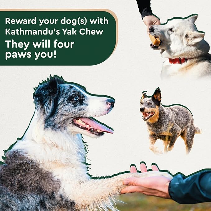 Authentic Himalayan Yak Cheese for Dogs - Large/XLarge - 4 Chews / 2-Pack - Sourced from Pristine Himalayan Foothill, Rawhide-Free, NO preservatives