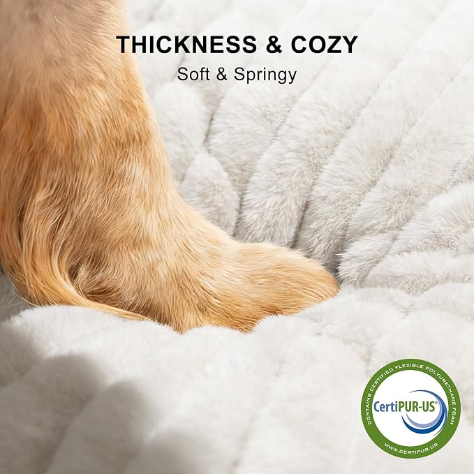 FURTIME Dog Bed Medium Size Dog, Washable Orthopedic Pet Bed with Removable Cover, Rectangle Soft Calming Sleeping Puppy Bed Durable Pet Cuddler with Anti-Slip Bottom, Cream, M Plus (30"x24"x8")