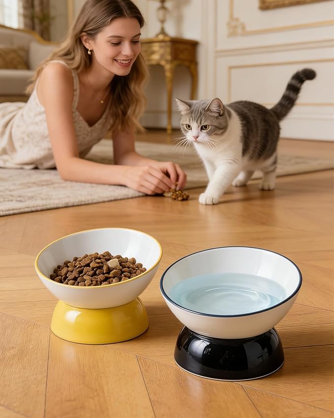 Ceramic Elevated Cats Bowls, 4Pc Extra Wide Raised Cats Bowls, Shallow Whisker Friendly Food & Water Dish, Anti Vomit, Microwave & Dishwasher Safe, 5 oz (Colorful 5.3 x 3.5'')