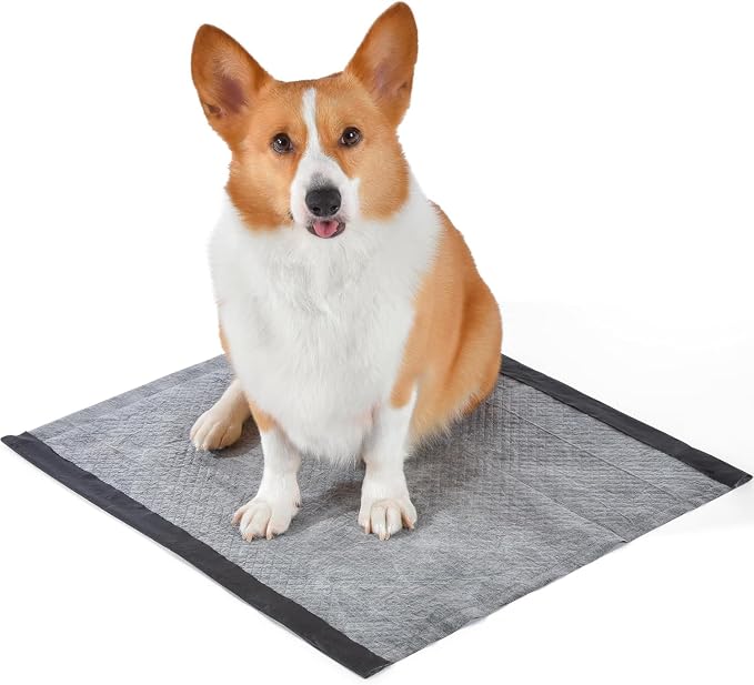 Glad for Pets Dual Action Freshness Activated Carbon Puppy Pads, Fragrance Release, Scented Odor Control, 6-Layer Leak-Proof, Pheromone Attractant, 23 x 23 Inch, 30 Count - 6 Pack